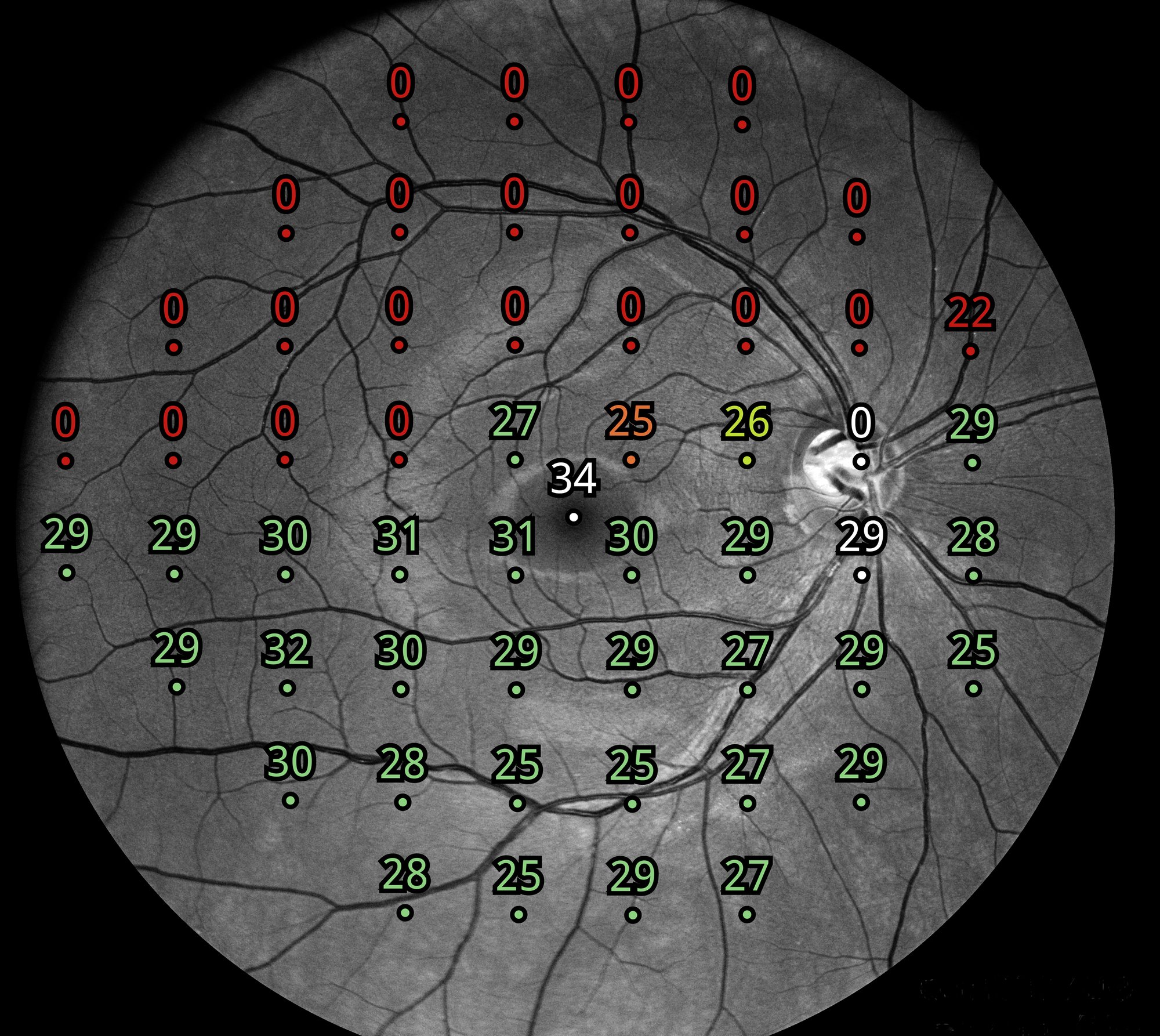 Compass_structure-function_2_no_logo (1)